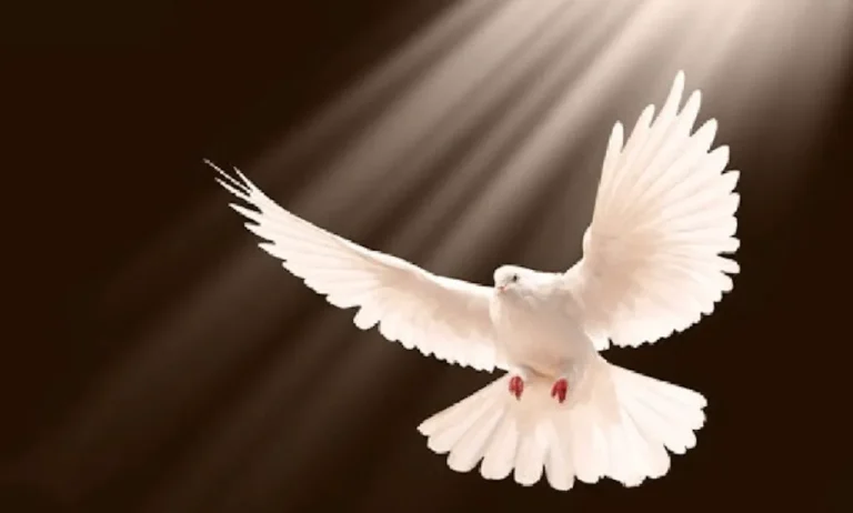Read more about the article Nature of the Holy Spirit and Forgiveness
